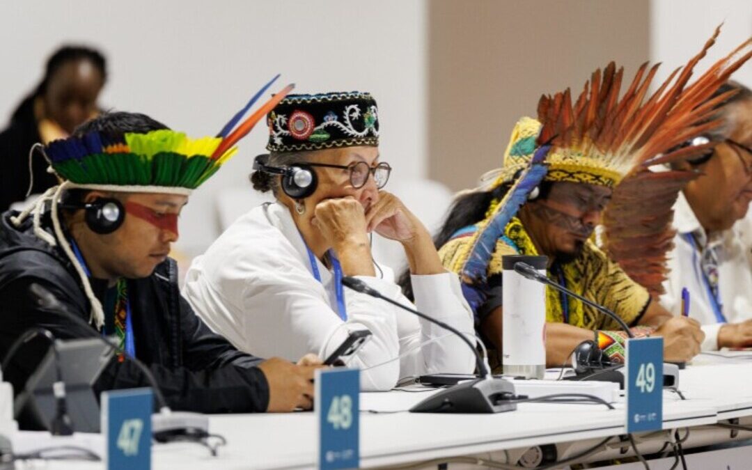 COP29 Advances Indigenous Voices in Climate Action with Baku Workplan